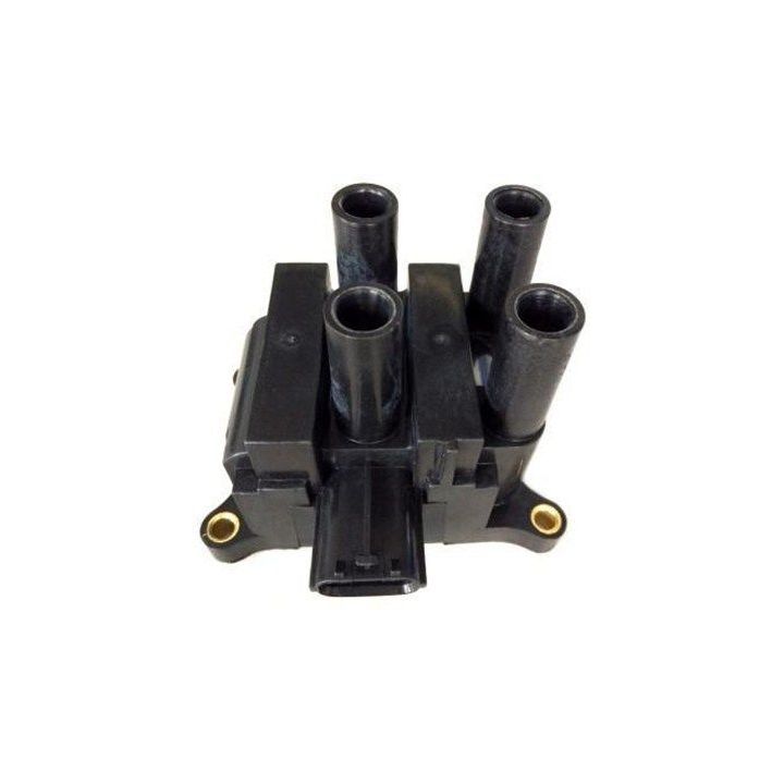 Ritė, uždegimas MAGNETI MARELLI 060717136012