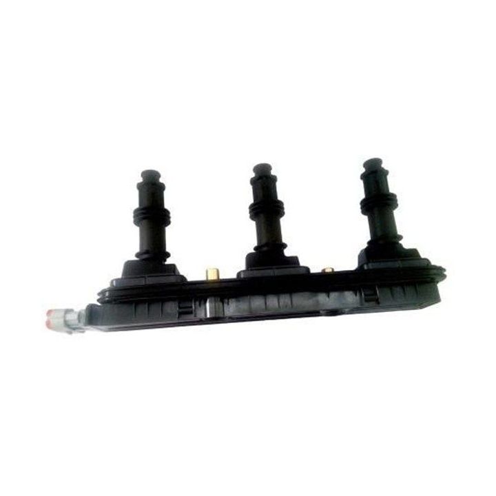 Ritė, uždegimas MAGNETI MARELLI 060717140012