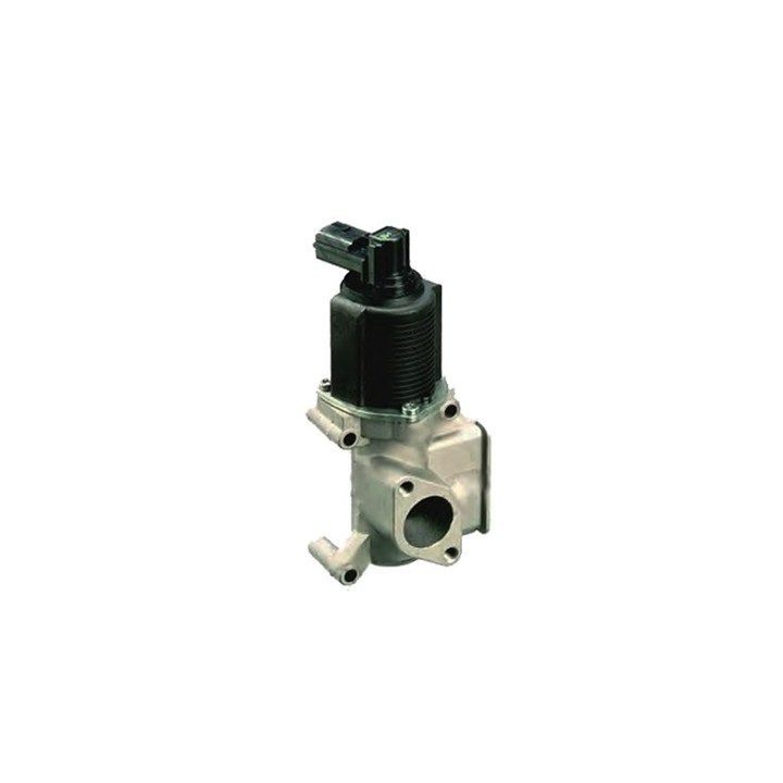 ERG vožtuvas MAGNETI MARELLI 571822112065