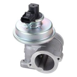 ERG vožtuvas MAGNETI MARELLI 571822112109