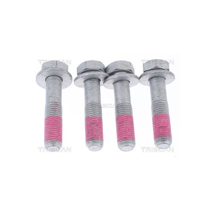 Jungčių komplektas, kardaninis velenas TRISCAN 8540 11113