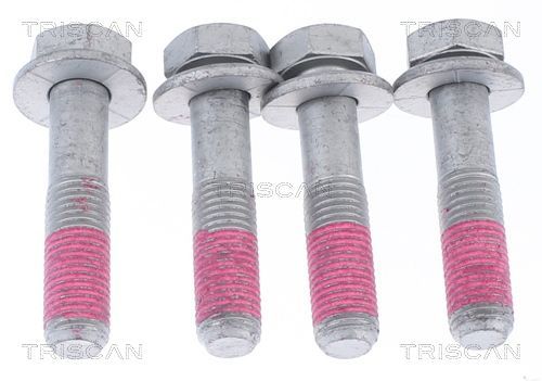 Jungčių komplektas, kardaninis velenas TRISCAN 8540 11113