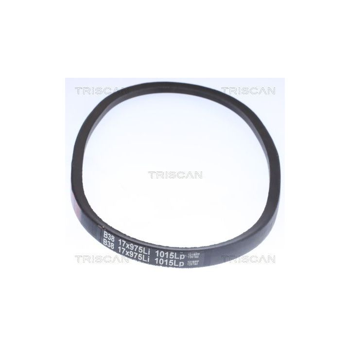 V formos diržas TRISCAN 8640 171045