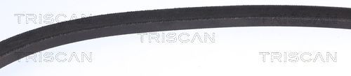V formos diržas TRISCAN 8640 171045