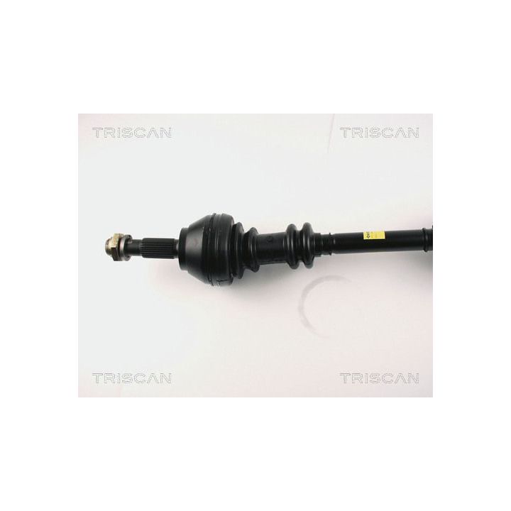 Pusašis TRISCAN 8540 10501