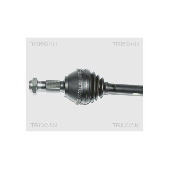 Pusašis TRISCAN 8540 10512