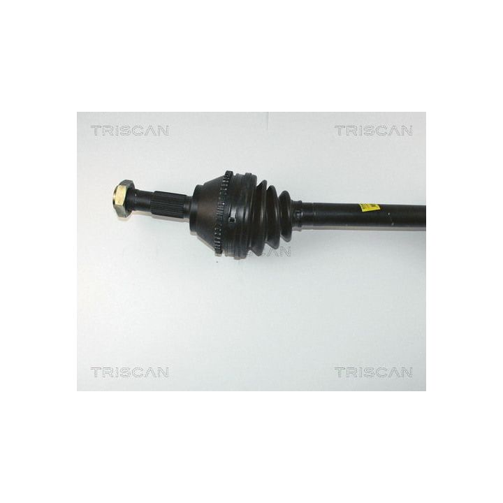 Pusašis TRISCAN 8540 10513