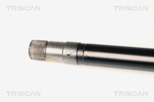 Pusašis TRISCAN 8540 10519