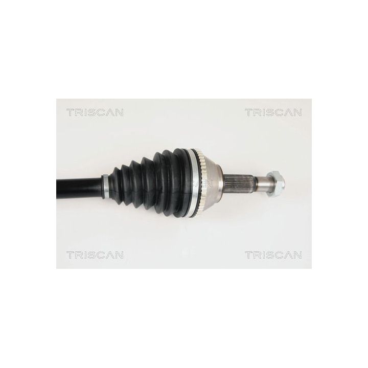 Pusašis TRISCAN 8540 10519