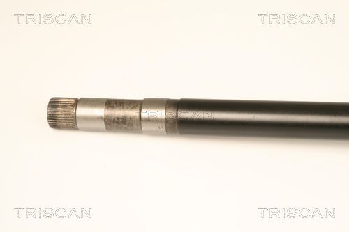 Pusašis TRISCAN 8540 10521