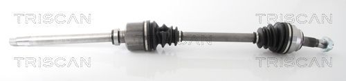 Pusašis TRISCAN 8540 10523