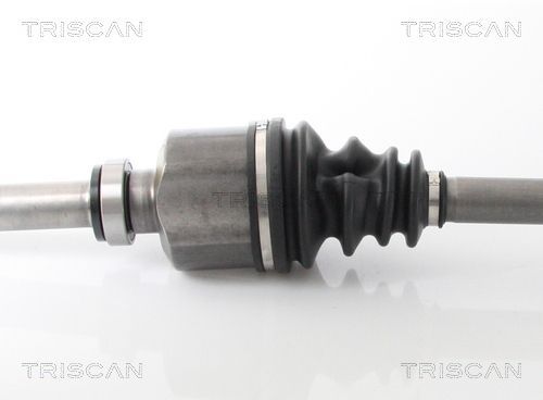 Pusašis TRISCAN 8540 10523