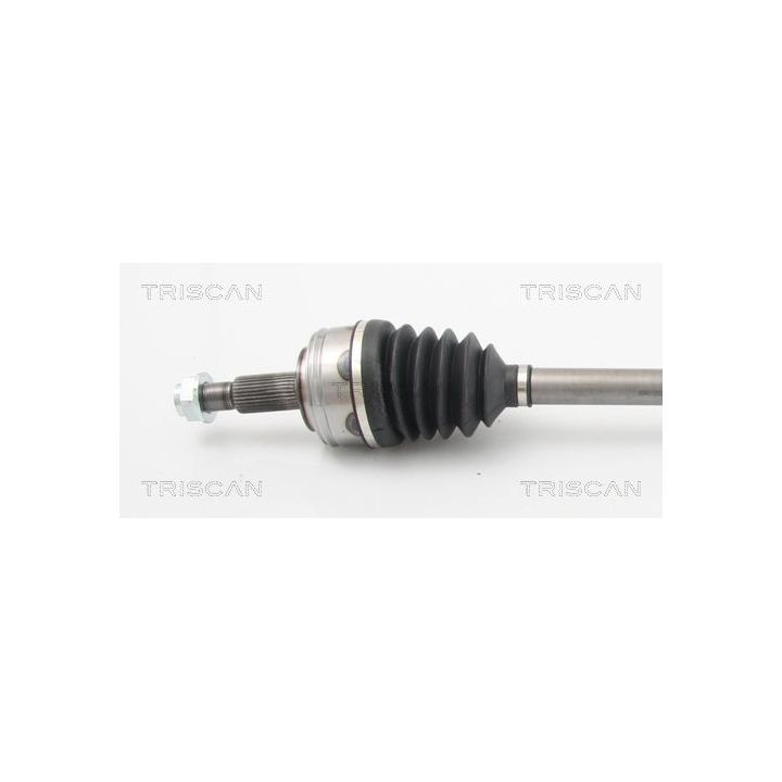 Pusašis TRISCAN 8540 10524