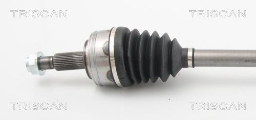 Pusašis TRISCAN 8540 10524