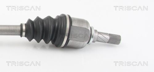Pusašis TRISCAN 8540 10524