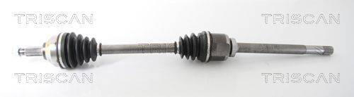 Pusašis TRISCAN 8540 10527