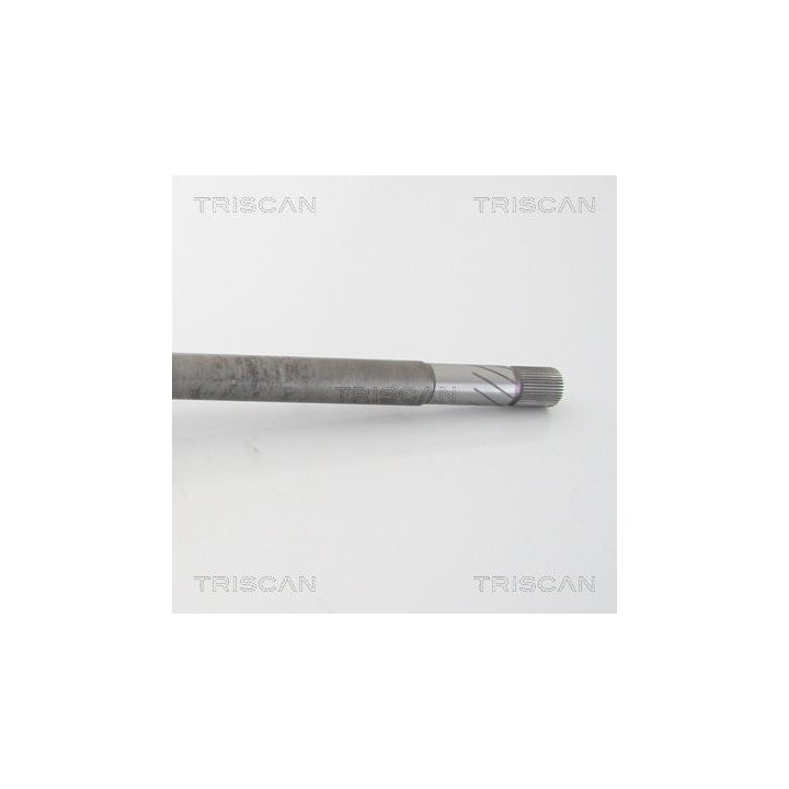 Pusašis TRISCAN 8540 10527