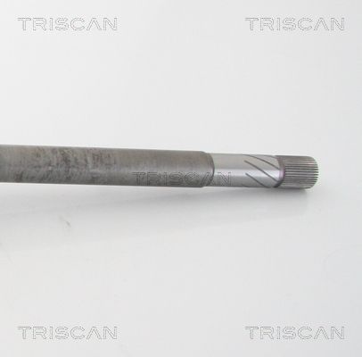Pusašis TRISCAN 8540 10527