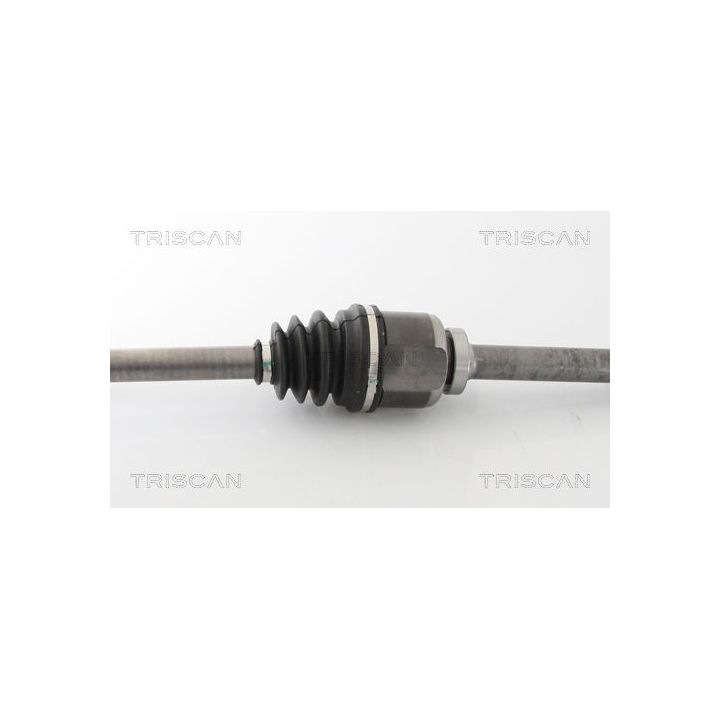 Pusašis TRISCAN 8540 10527