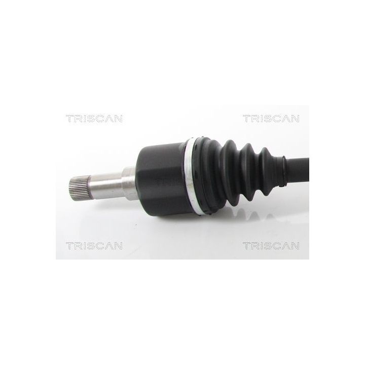 Pusašis TRISCAN 8540 10528