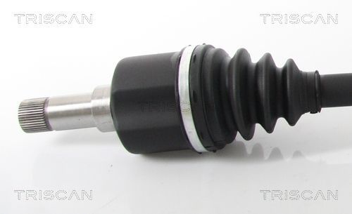 Pusašis TRISCAN 8540 10528