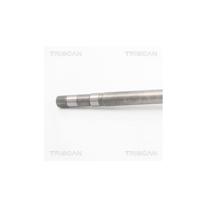 Pusašis TRISCAN 8540 10531