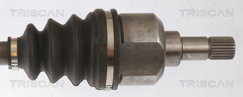 Pusašis TRISCAN 8540 10532