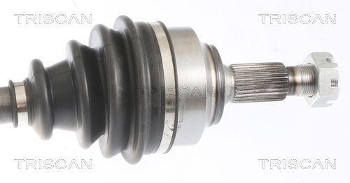 Pusašis TRISCAN 8540 10533