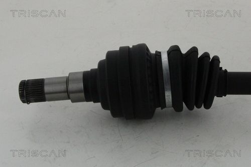 Pusašis TRISCAN 8540 11528