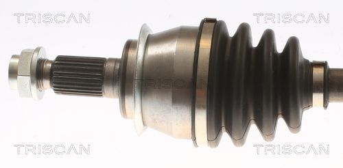 Pusašis TRISCAN 8540 11529