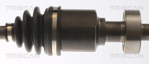 Pusašis TRISCAN 8540 11529