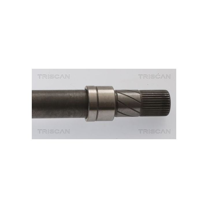 Pusašis TRISCAN 8540 11529