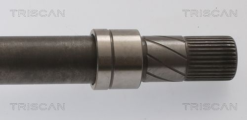 Pusašis TRISCAN 8540 11529