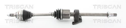 Pusašis TRISCAN 8540 11531