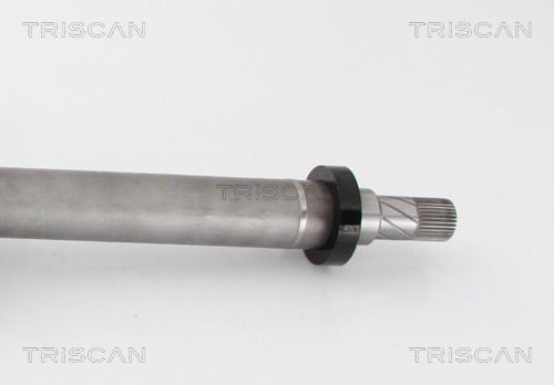 Pusašis TRISCAN 8540 11546