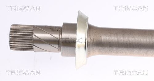 Pusašis TRISCAN 8540 11547