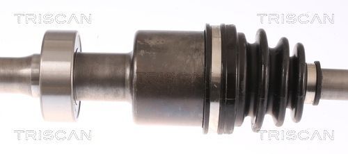 Pusašis TRISCAN 8540 11547