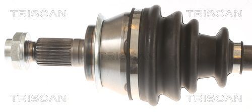 Pusašis TRISCAN 8540 11559