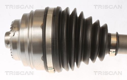 Pusašis TRISCAN 8540 11567