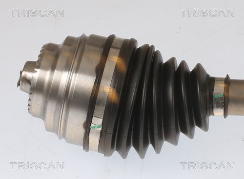 Pusašis TRISCAN 8540 11568