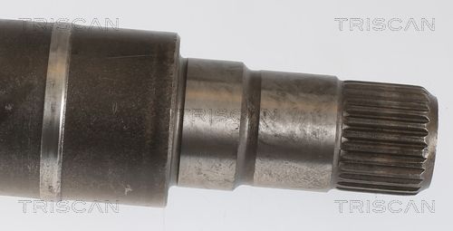 Pusašis TRISCAN 8540 11576