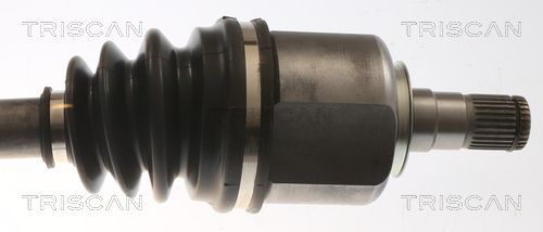 Pusašis TRISCAN 8540 11583