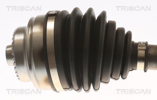 Pusašis TRISCAN 8540 11584