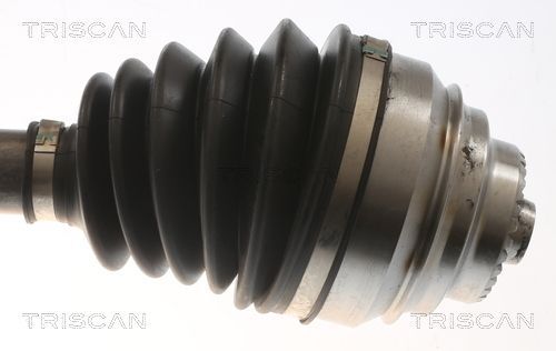 Pusašis TRISCAN 8540 11586