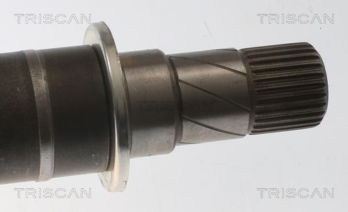 Pusašis TRISCAN 8540 11588