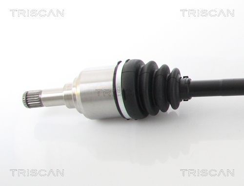 Pusašis TRISCAN 8540 15541