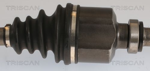 Pusašis TRISCAN 8540 15552