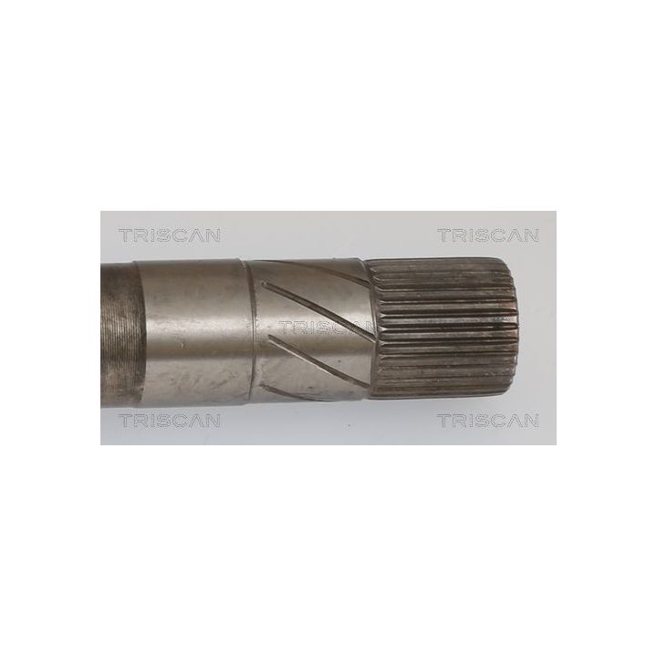 Pusašis TRISCAN 8540 15552