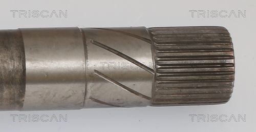 Pusašis TRISCAN 8540 15552