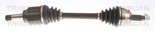 Pusašis TRISCAN 8540 15553